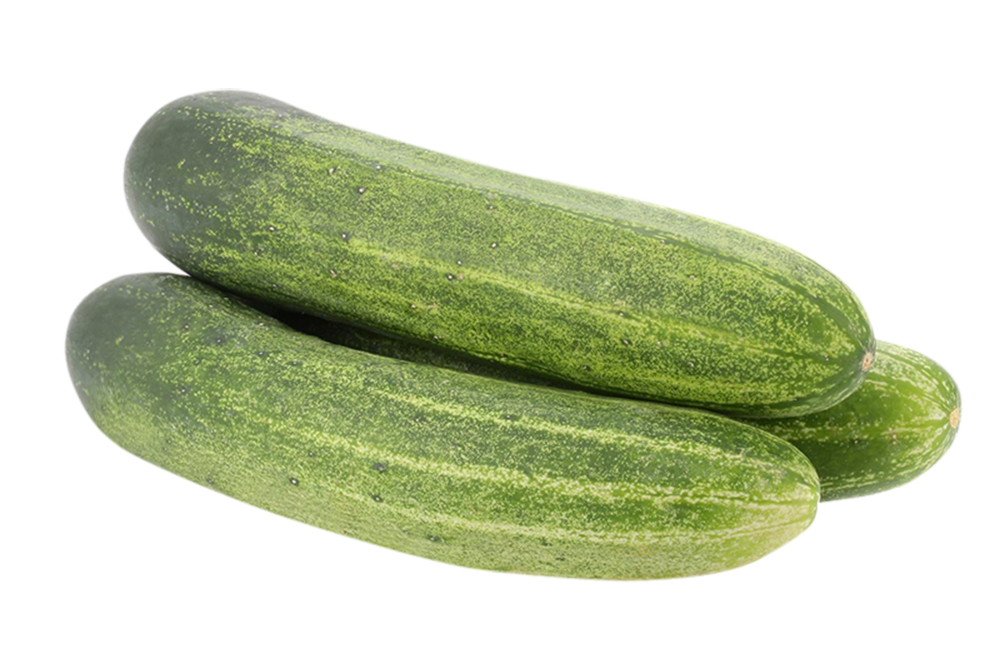 cucumber images, fresh cucumber png, cucumber png image, cucumber transparent png image, cucumber png full hd images download